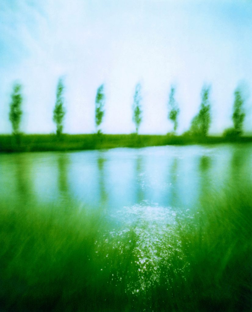 un filare di pioppi che si riflette nel fiume, erba sull'altra riva; scansione da Polaroid