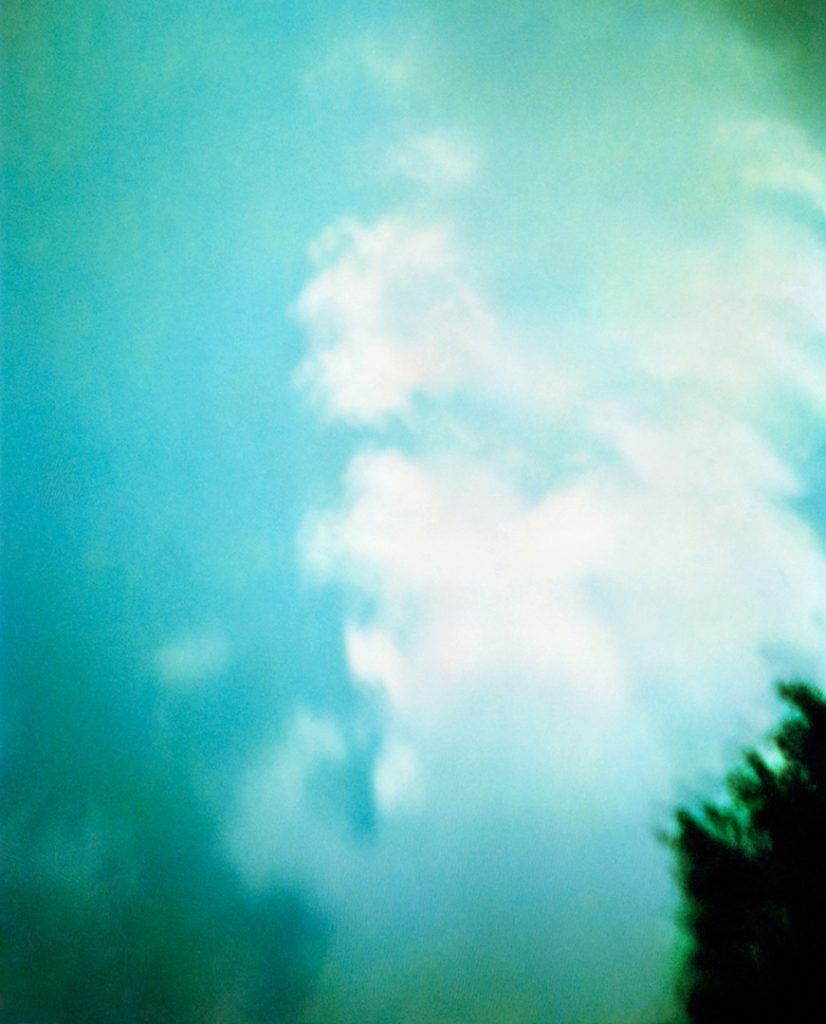 cielo azzurro con poche nuvole bianche, in basso a destra la chioma di un albero